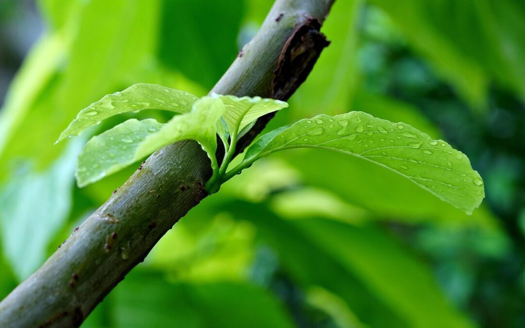 Sådan slipper du vinterens spændinger