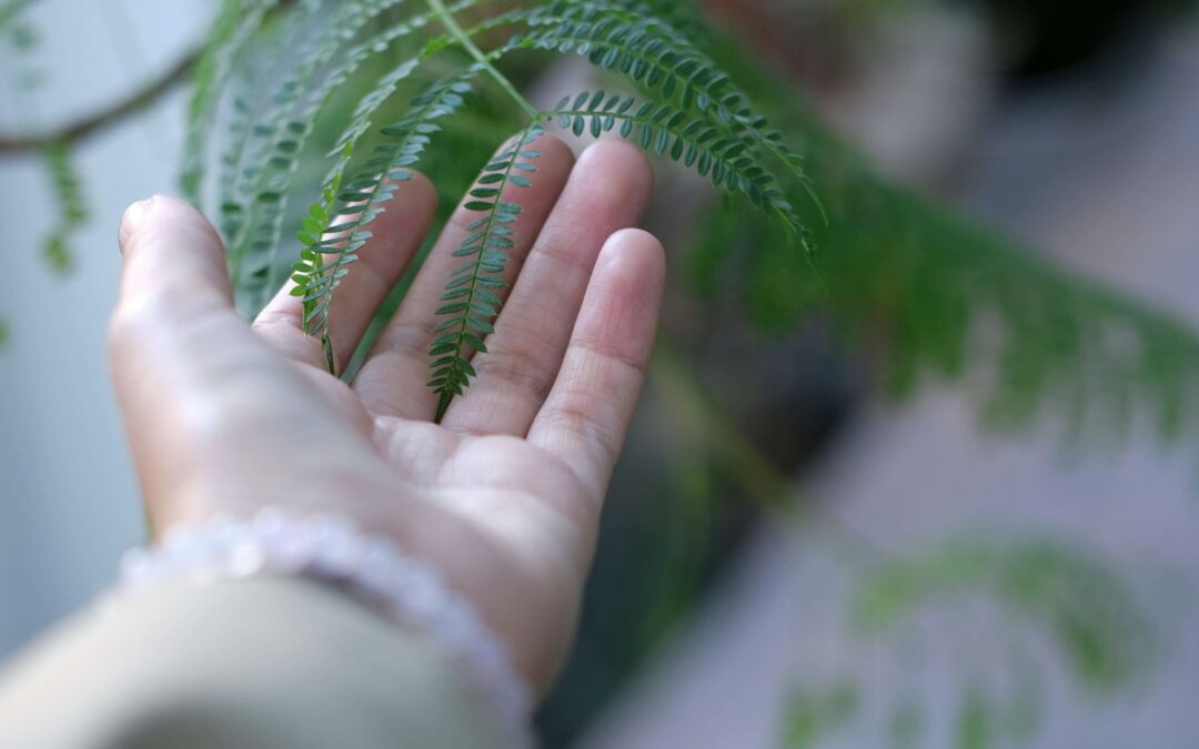 Miltmeridianen – omsorg, relationer og selvomsorg